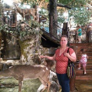 Meet your Posher, Susan